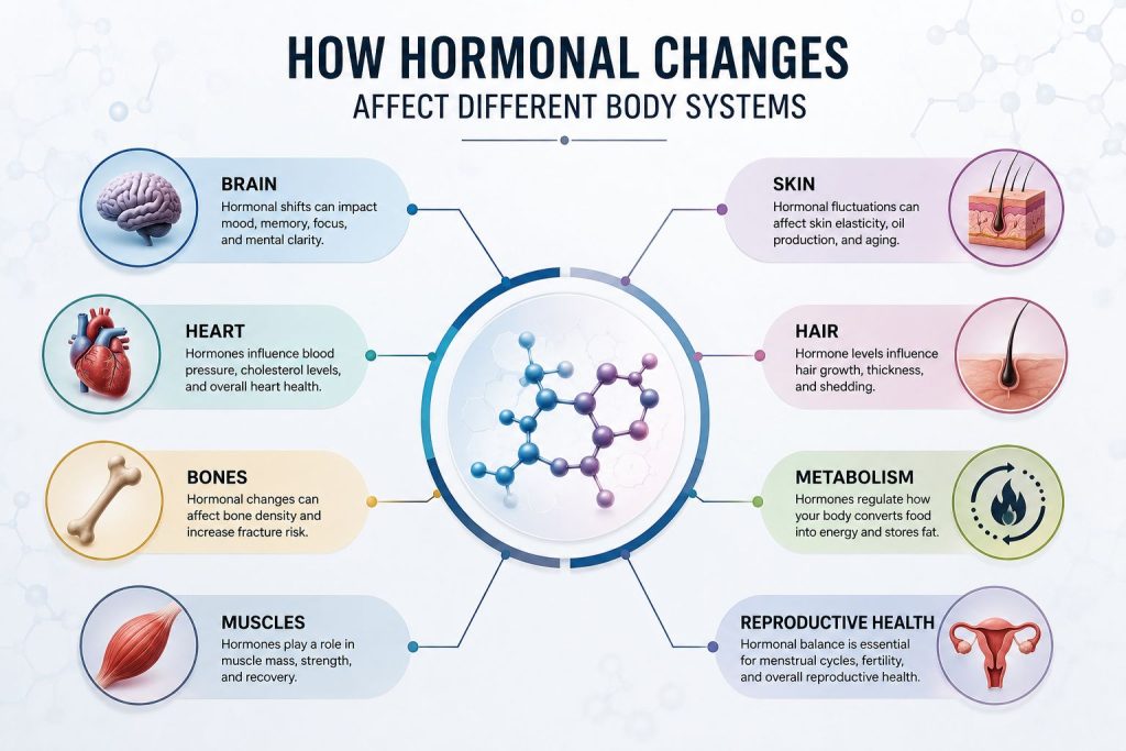 How Hormonal Changes Affect Different Body Systems